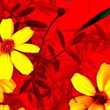 怎么攻击游戏服务器